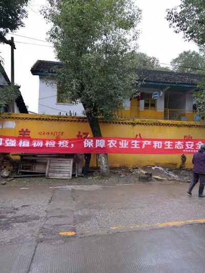 5063c454dc5f4efb8ca573a3c3ad5499.jpg 5063c454dc5f4efb8ca573a3c3ad5499.jpg