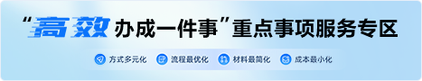 高效办成一件事重点事项服务专区